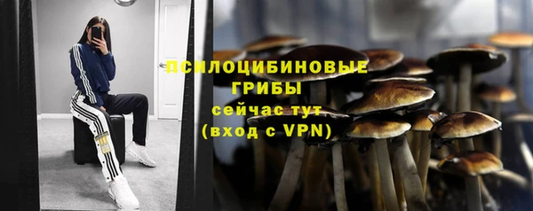 эйфоретик Елабуга